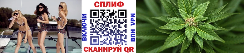 Конопля семена  где можно купить наркотик  Петрозаводск 
